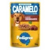 PED CARAME SC AD CHURRASCO DP24X70GR CX2