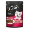 CESAR SC AD CARN ASSAD/MOL DP20X85GR CX2