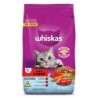 WHISKAS DRY GATOS CAST.CARNE 900GR FD/10