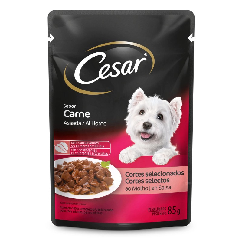 CESAR SC AD CARN ASSAD/MOL DP20X85GR CX2