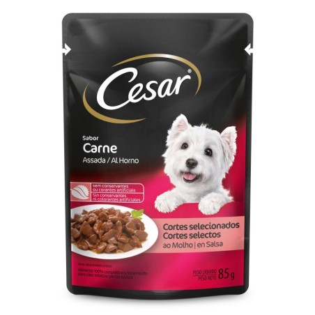 CESAR SC AD CARN ASSAD/MOL DP20X85GR CX2