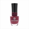 ESMALTE ANA H.-CART-DEIXO LEVA CJ6 CX120