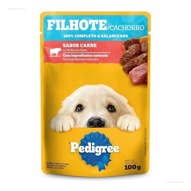 PED SACHE FIL CARNE 100G L18P15 CX/2