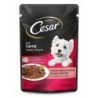 CESAR SC AD CARN ASSAD/MOL DP20X85GR CX2