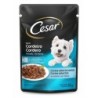 CESAR SC AD CORDEIRO ASSAD DP20X85GR CX2
