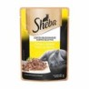SHEBA SC AD FRANGO ASSADO DP20X85GR CX2