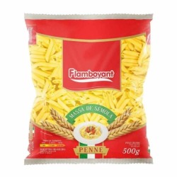 FLAMB MASSA PENNE SEMOLA 500GR FD/24