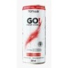 TOPWAY GO FRESH ENER FRU VER 269ML CX/12