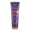 SIAGE LISO INTENSO SHAMP 250ML CX/6