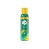 XO INSETO AEROSOL 150ML CX/24