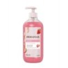 HIDRAMAIS SAB LIQ MORANGO 500ML CX/12