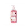 HIDRAMAIS SAB LIQ AMEIX/NEGR 500ML CX/12