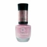 ESMALTE ANA H.-ESTREL-FERNANDA CJ6 CX120