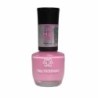 ESMALTE ANA H.-PRIMAVERA CJ6 CX120