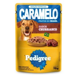 PED CARAME SC AD CHURRASCO DP24X70GR CX2