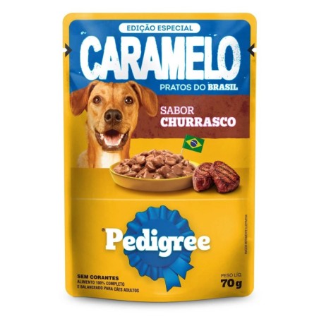 PED CARAME SC AD CHURRASCO DP24X70GR CX2