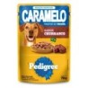 PED CARAME SC AD CHURRASCO DP24X70GR CX2