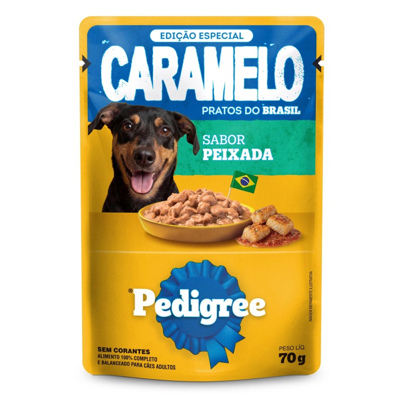 PED CARAME SC AD PEIXADA DP24X70GR CX2
