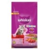 WHISKAS FILHOTE CARNE/LEITE 10,1KG