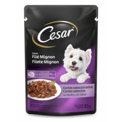 CESAR SC AD FILE MIGNON DP20X85GR CX2